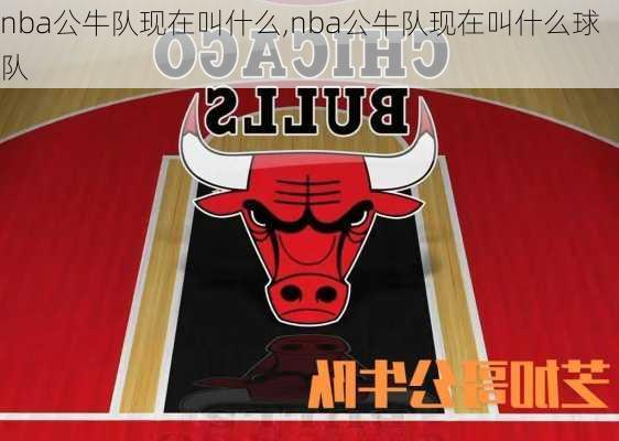 nba公牛队现在叫什么,nba公牛队现在叫什么球队