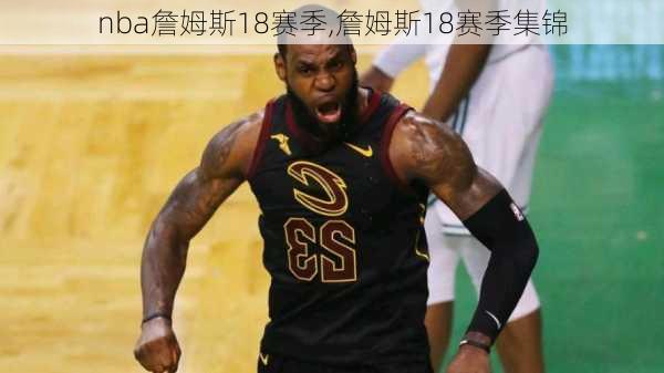 nba詹姆斯18赛季,詹姆斯18赛季集锦