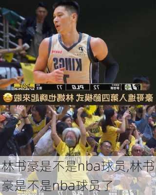 林书豪是不是nba球员,林书豪是不是nba球员了