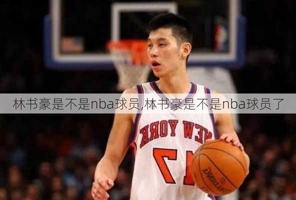 林书豪是不是nba球员,林书豪是不是nba球员了