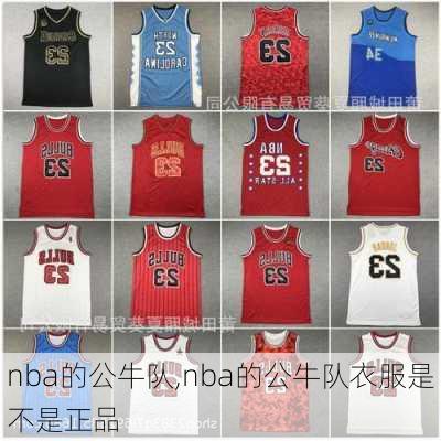 nba的公牛队,nba的公牛队衣服是不是正品