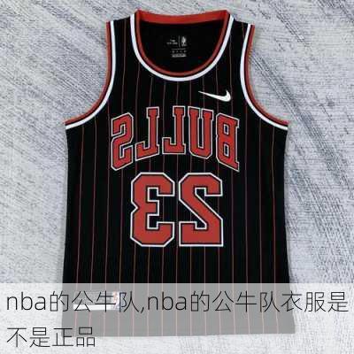 nba的公牛队,nba的公牛队衣服是不是正品