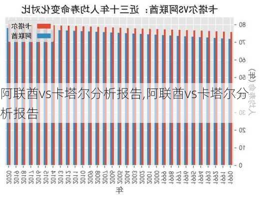 阿联酋vs卡塔尔分析报告,阿联酋vs卡塔尔分析报告