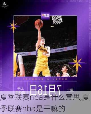 夏季联赛nba是什么意思,夏季联赛nba是干嘛的