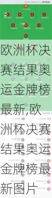 欧洲杯决赛结果奥运金牌榜最新,欧洲杯决赛结果奥运金牌榜最新图片