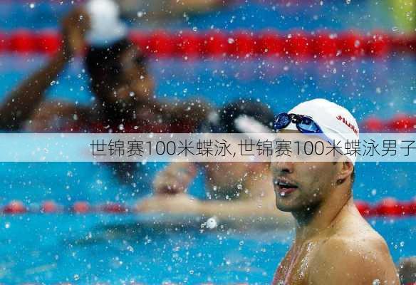 世锦赛100米蝶泳,世锦赛100米蝶泳男子