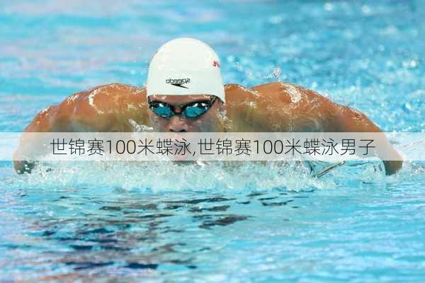 世锦赛100米蝶泳,世锦赛100米蝶泳男子