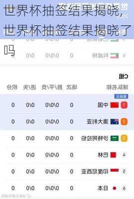 世界杯抽签结果揭晓,世界杯抽签结果揭晓了吗