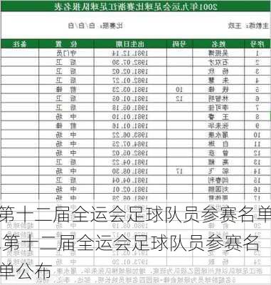 第十二届全运会足球队员参赛名单,第十二届全运会足球队员参赛名单公布