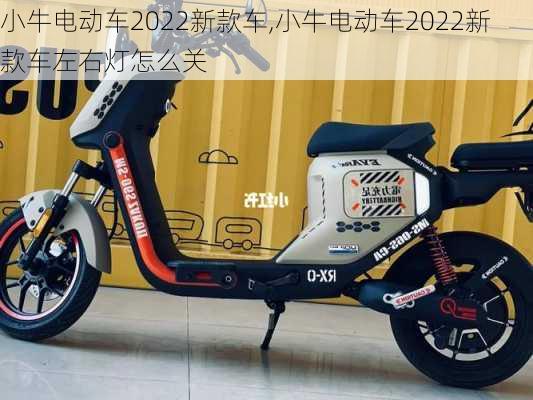 小牛电动车2022新款车,小牛电动车2022新款车左右灯怎么关