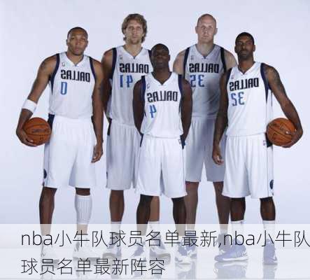 nba小牛队球员名单最新,nba小牛队球员名单最新阵容