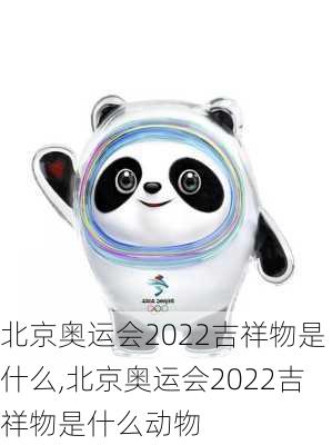 北京奥运会2022吉祥物是什么,北京奥运会2022吉祥物是什么动物