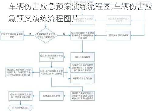 车辆伤害应急预案演练流程图,车辆伤害应急预案演练流程图片