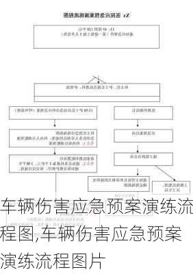 车辆伤害应急预案演练流程图,车辆伤害应急预案演练流程图片