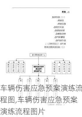 车辆伤害应急预案演练流程图,车辆伤害应急预案演练流程图片