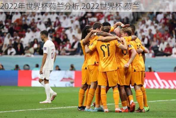 2022年世界杯荷兰分析,2022世界杯 荷兰