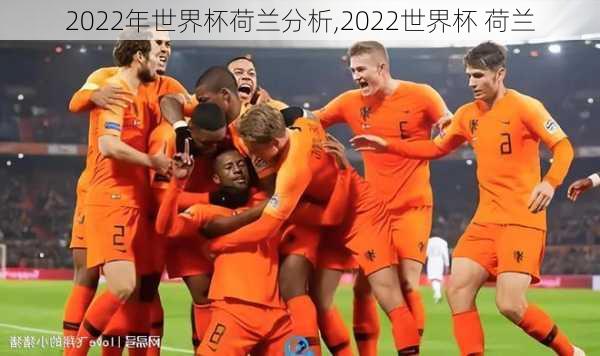 2022年世界杯荷兰分析,2022世界杯 荷兰