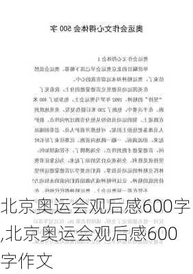 北京奥运会观后感600字,北京奥运会观后感600字作文