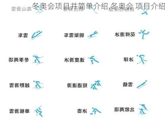 冬奥会项目并简单介绍,冬奥会 项目介绍