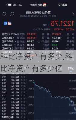 科比净资产有多少,科比净资产有多少亿