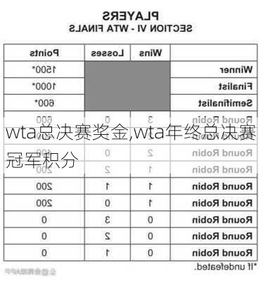 wta总决赛奖金,wta年终总决赛冠军积分