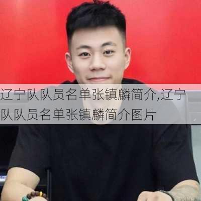 辽宁队队员名单张镇麟简介,辽宁队队员名单张镇麟简介图片