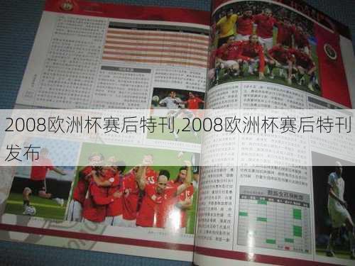 2008欧洲杯赛后特刊,2008欧洲杯赛后特刊发布