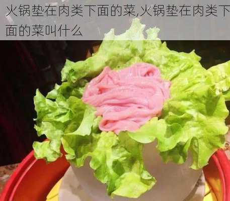 火锅垫在肉类下面的菜,火锅垫在肉类下面的菜叫什么