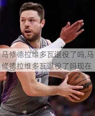 马修德拉维多瓦退役了吗,马修德拉维多瓦退役了吗现在