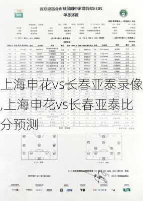 上海申花vs长春亚泰录像,上海申花vs长春亚泰比分预测