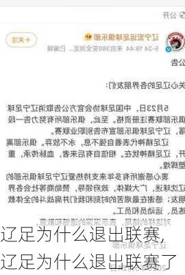 辽足为什么退出联赛,辽足为什么退出联赛了