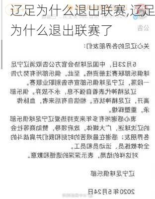 辽足为什么退出联赛,辽足为什么退出联赛了