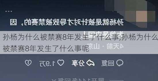 孙杨为什么被禁赛8年发生了什么事,孙杨为什么被禁赛8年发生了什么事呢