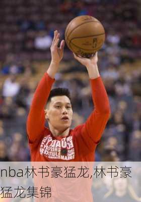 nba林书豪猛龙,林书豪猛龙集锦