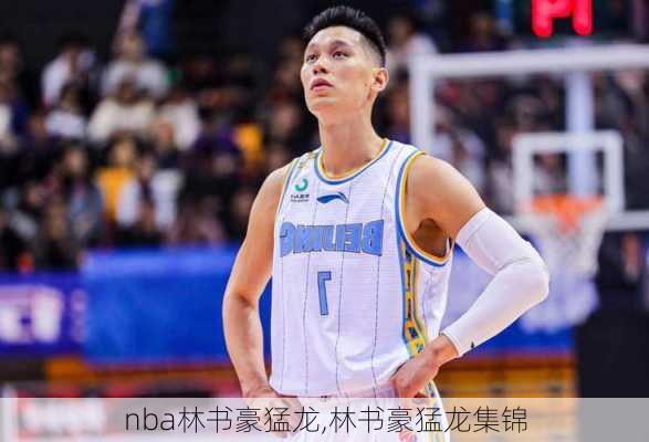 nba林书豪猛龙,林书豪猛龙集锦