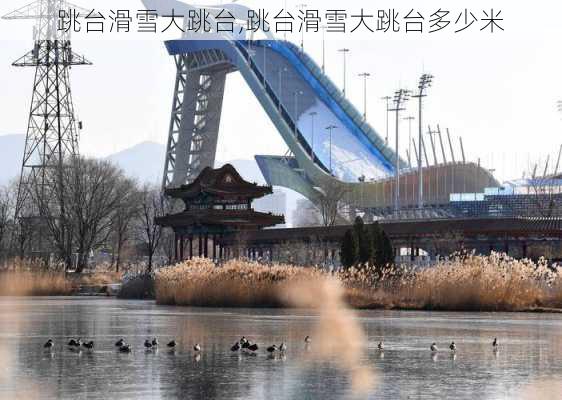 跳台滑雪大跳台,跳台滑雪大跳台多少米