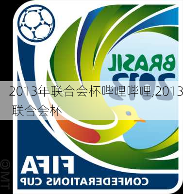 2013年联合会杯哔哩哔哩,2013 联合会杯