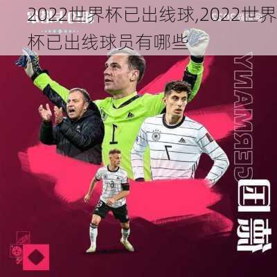 2022世界杯已出线球,2022世界杯已出线球员有哪些