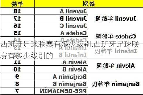 西班牙足球联赛有多少级别,西班牙足球联赛有多少级别的