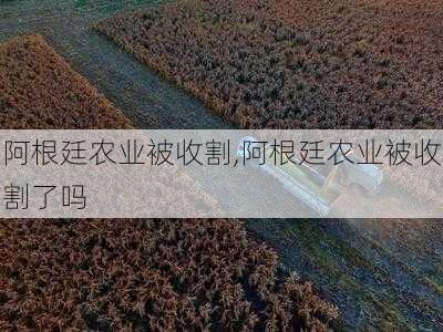 阿根廷农业被收割,阿根廷农业被收割了吗