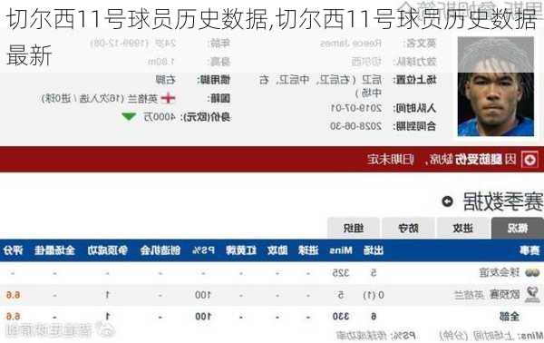 切尔西11号球员历史数据,切尔西11号球员历史数据最新