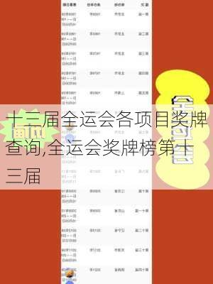 十三届全运会各项目奖牌查询,全运会奖牌榜第十三届