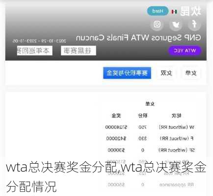 wta总决赛奖金分配,wta总决赛奖金分配情况