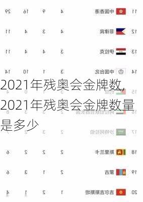 2021年残奥会金牌数,2021年残奥会金牌数量是多少