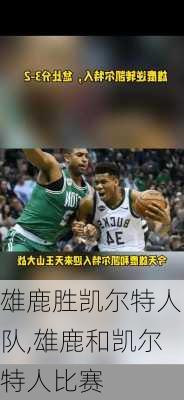 雄鹿胜凯尔特人队,雄鹿和凯尔特人比赛