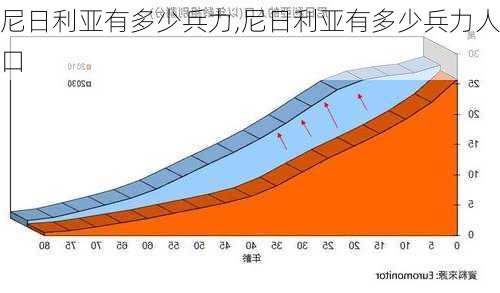 尼日利亚有多少兵力,尼日利亚有多少兵力人口