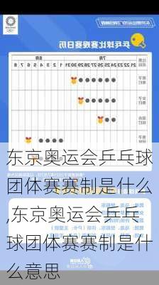 东京奥运会乒乓球团体赛赛制是什么,东京奥运会乒乓球团体赛赛制是什么意思