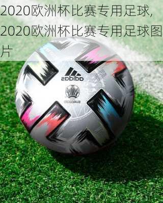 2020欧洲杯比赛专用足球,2020欧洲杯比赛专用足球图片