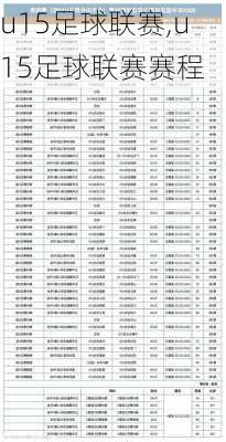 u15足球联赛,u15足球联赛赛程