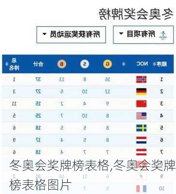 冬奥会奖牌榜表格,冬奥会奖牌榜表格图片